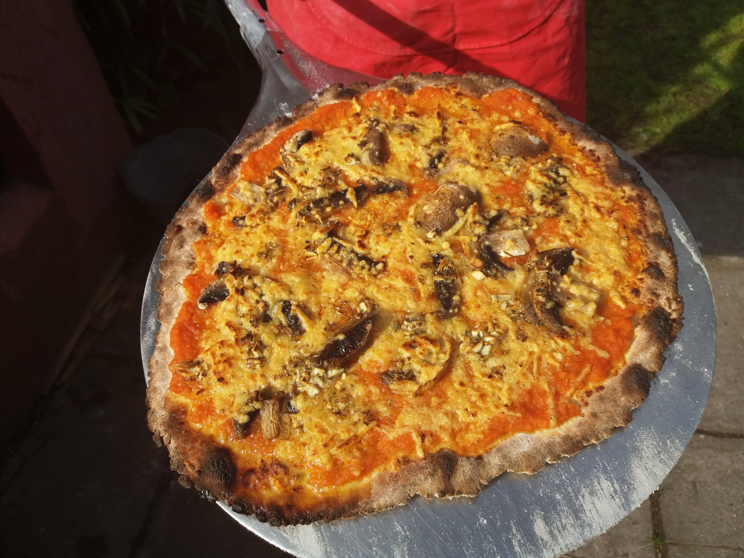 Tristique sapien nullam maecenas orci lobortis neque massa mattis